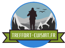 treffort-cuisiat.fr